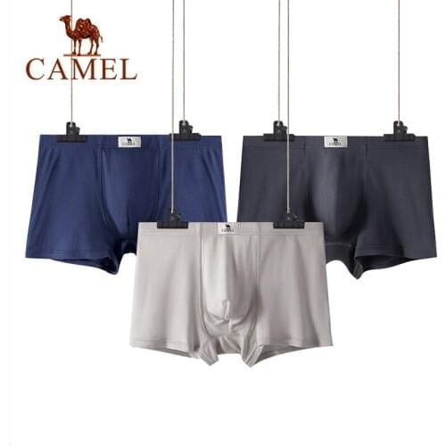 Camel Men's Briefs-shorts