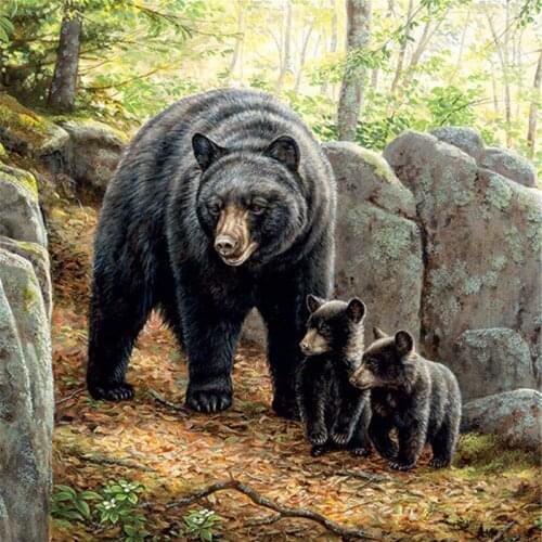 Black Bear Family Animal oil painting Needlework, Cross stitch kits Stylish for Embroidery,Crafts Art 14CT DIY Handmade Decor
