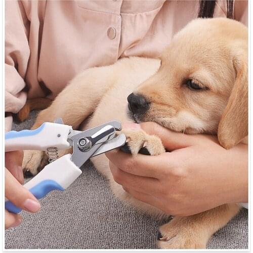 Professional Pet Nail Clipper Scissors Pet Dog Cat Nail Toe Claw Clippers Scissors Trimmer for Animals Pet Supplies