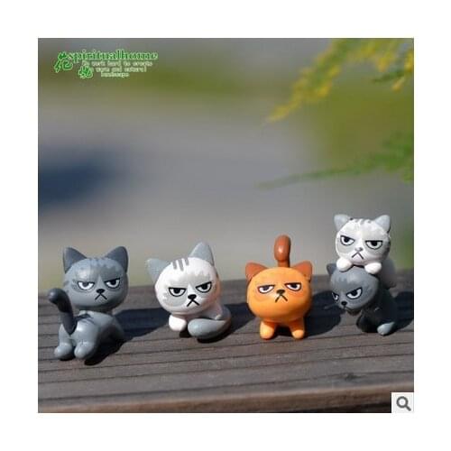 6 pcs Moss Micro landscape multi-meat plant decoration doll decoration unpleasant cat DIY material
