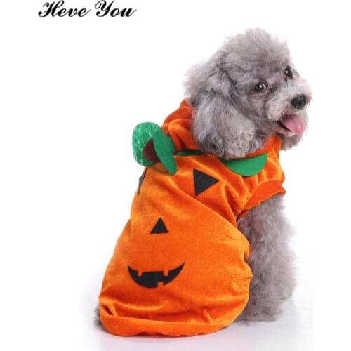 Clothes Cute Pumpkin Chihuahua Dog Sweater Pet Dog Costume Warm Coat Jacket for Dogs Cats Hoodies Festival Pet Clothes