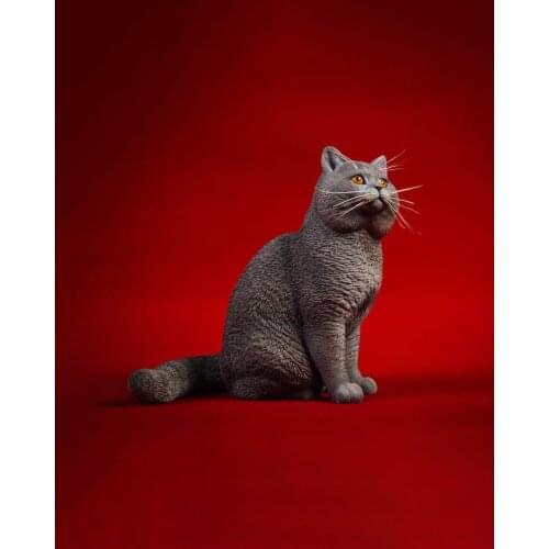 Simulation Cat Model British shorthair Garage Kit Kawaii Anime Figure Realistic Black Cat