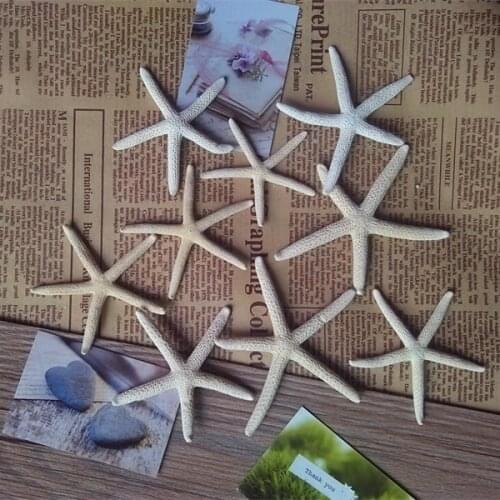 10PCS/lot Natural Starfish Real Finger Starfish Drapery Hold 2"-4" Great weddings or party home decoration sea star sea shell