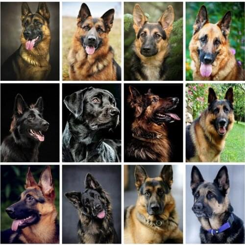 Huacan 5d Diy Diamond Painting Dog Full Square Diamond Mosaic Embroidery Cross Stitch Animal Rhinestones Home Decoration Gift