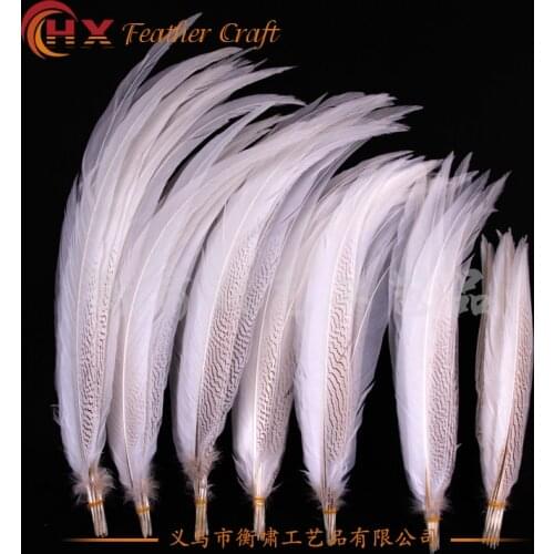 Wholesale Natural Silver Pheasant Tail Feathers 10-80CM White Pheasant Feathers for Crafts Costume Silver Chicken Feathers Plume