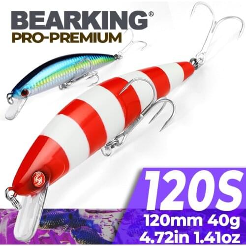 Bearking brand 1PC 12cm 40g Hard Fishing Lure Crank Bait super sinking Lake River Fishing Wobblers Carp Fishing Baits