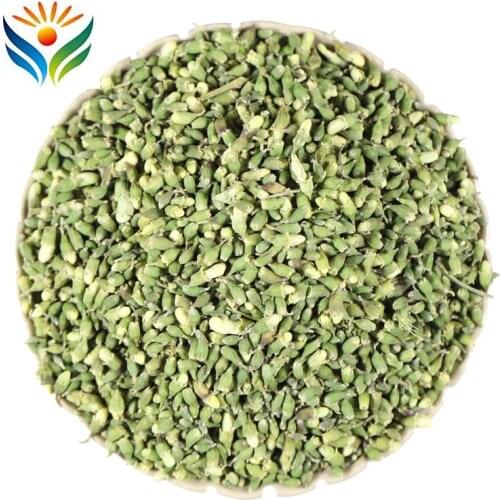 High Quality Chinese Herb Pagoda Tree Sophora Flower Bud - Huai Hua Mi