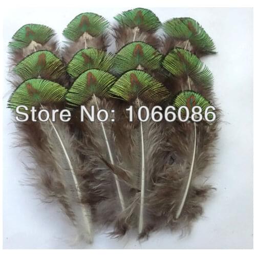 Free Shipping! 100/lot 7-9cm Peacock Feather Golden Green Peacock Plumage Feathers Craft/Fish/Tying