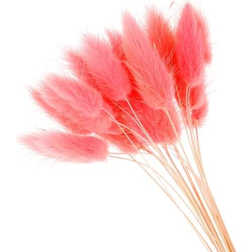 50pcs/lot Long Branch Natural Dried Flowers Colorful Plush Artificial Flowers Fake Rabbit Tail Foxtail Grass for Home Decoration