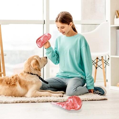 Creativity Artificial Simulation Steak Pet Dog Vocalize Toys Outdoor Pet Training Props For Home Decoration spoof funny gifts