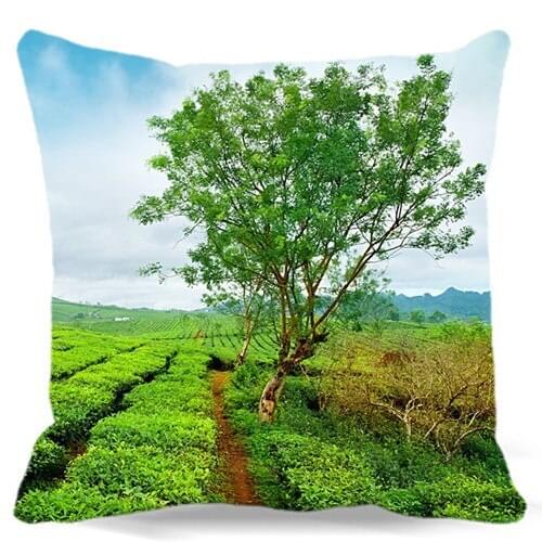 A lush tree in the field Square Cotton polyester soft cushion cover for Home car sofa chair decorative