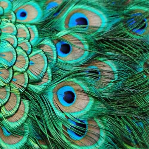 Mandala Feather Diagram DIY Cross Stitch Embroidery 11CT Kits Craft Needlework Set Cotton Thread Printed Canvas Home Design