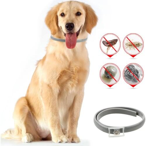 63/38cm Anti Flea Ticks Mosquitoes Waterproof Adjustable Cat Collar Pet Accessories Necklace Pet Dog Collar Outdoor Protective