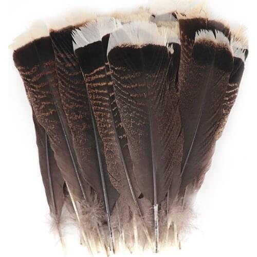 Wholesale High Quality Turkey Feathers for Crafts 10-12 Inch / 25-30CM Jewelry Diy for Party Wedding Feathers for Crafts