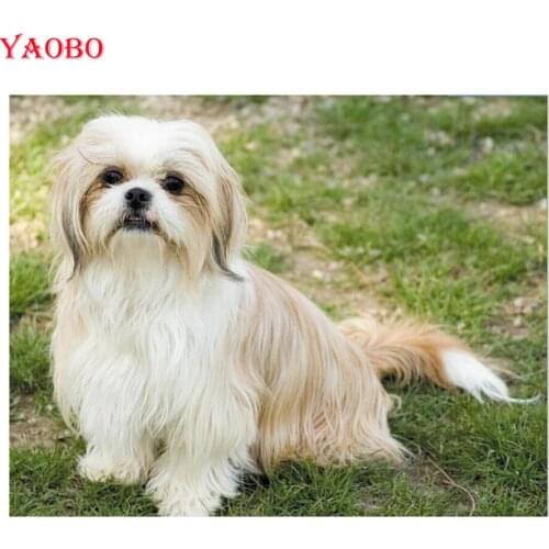 DIY Diamond Embroidery Shih Tzu Pet Dog 5d Full Square round Drill Diamond Painting,Cross Stitch,diamond mosaic animal picture
