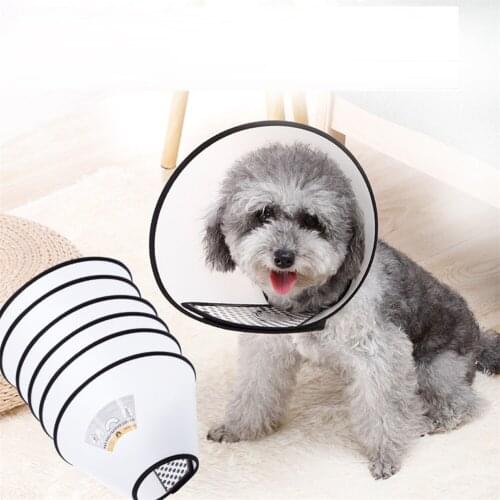 Plastic Cone Pet Products Anti Bite And Scratching Elizabeth Collar For Cats Elizabeth Circle Dog Protection Beauty Healing