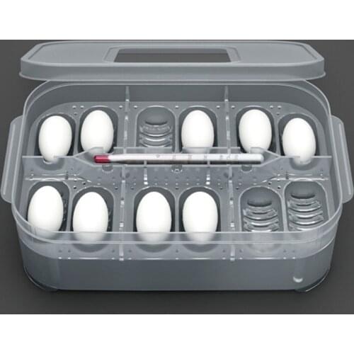 Товары для рептилий panDaDa China At AliExpress