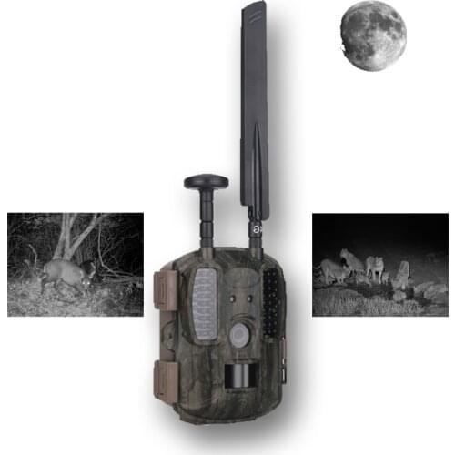 Trail Hunting Camera-4G Hunting Camera Border Surveillance Tail Wildlife Waterproof IP66 BL-480 Outdoor Camera