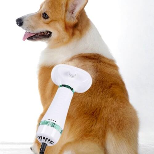 2-In-1 Portable Pet Dog Dryer Dog Hair Dryer And Comb Brush Pet Grooming dryer Cat Hair Comb Dog Fur Blower Low Noise Temprature