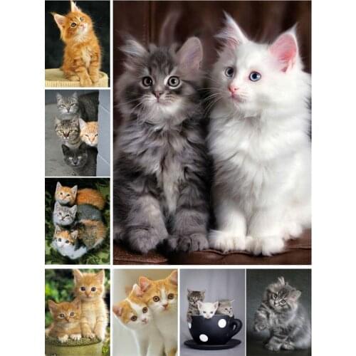 Cat Baby Cute Kitten Diy 5D Diamond Painting Full Square and Round Embroidery Mosaic Wall Art Handmade Pet Store Home Decoration