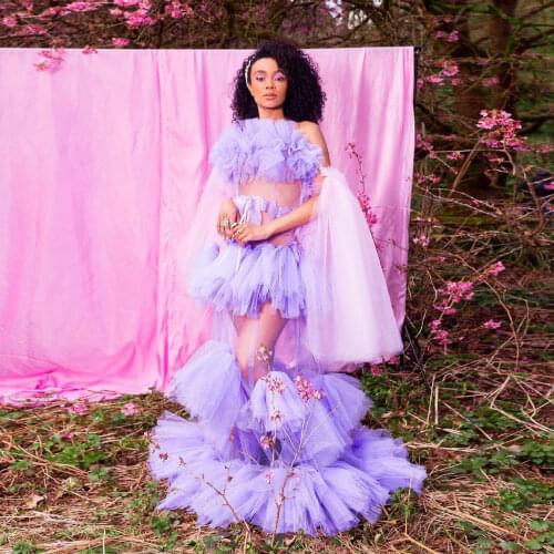 Violet See Thru Sexy Transparent Women Dresses To Photoshoot Mesh Peng Skirt Flower Plus Size Long Tulle Dress Ball Gown