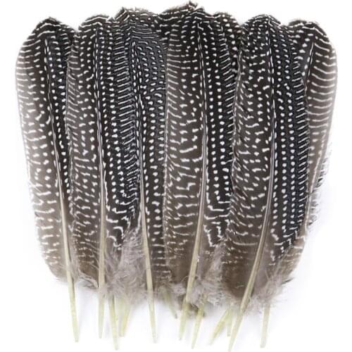 DailyBesdeals Jewelry