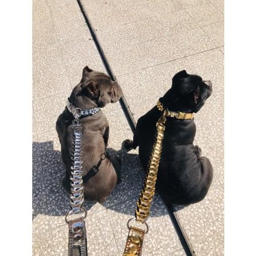 ACdogcollars Products For Dogs