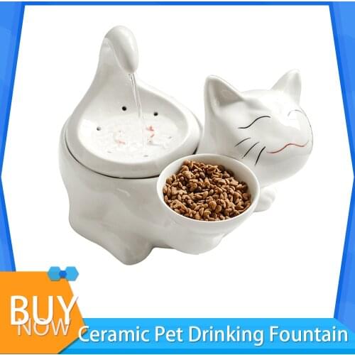 Pet Cat Water Fountain Ceramic Pet Drinking Fountain Cat Water Dispenser Feeder Dog Drinker Bowl With Replacement Filters Foam