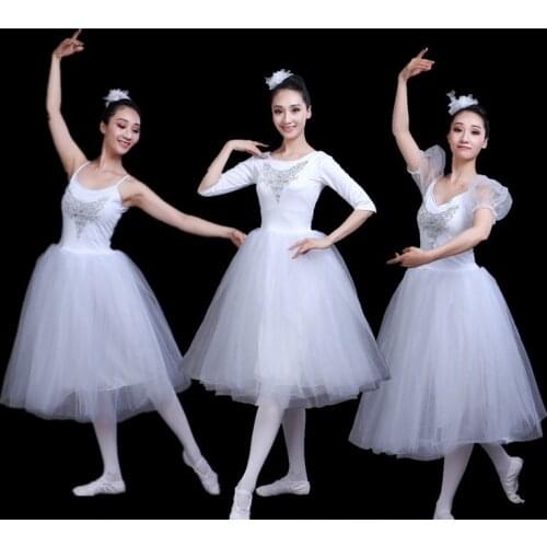 2019 new professional ballet Swan Lake tutu veil costume adult ballet skirt Puff White Classic Ballet Skirt Dress Ballet Costume