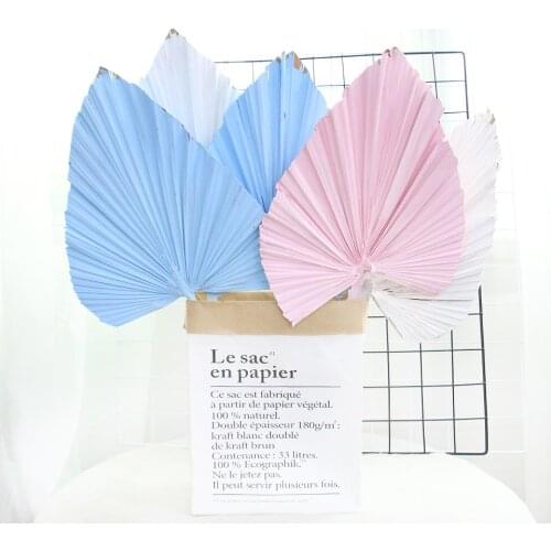 Colorful Palm Fan Leaf Dried Flower Window Reception Party Art Wall Hanging Decoration Wedding Arch Arrangement Decoration