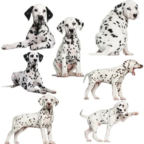 Three Ratels QC388 HD pixel cute Dalmatians Waterproof dog sticker Vinyl auto Wrap for car hood laptop home decoration decals