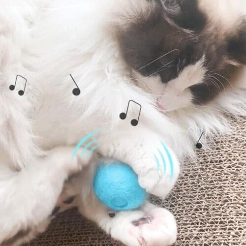 Interactive Pet Cat Ball Toy Smart Cat Toys Pet Sounding Toys Cat Chasing Toys For Cats Kitten Pet Supplies