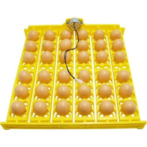 110V/220V/12V Egg Incubator Automatic Quail Egg Incubator With Rotating Motor 36/154 Bird Egg Tray Chicken Egg Turner