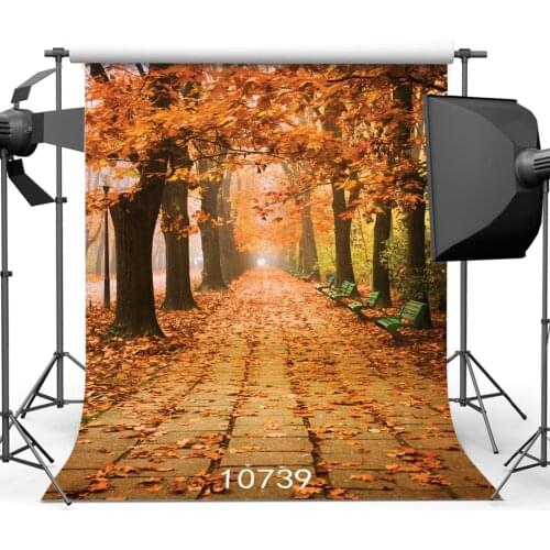 Portrait Photography Backgrounds Walking Street with Fallen Leaves Autumn Photophone Backdrops for Photo Studio Vinyl 3D