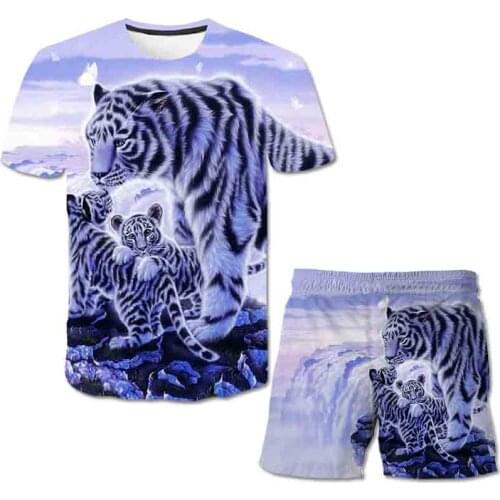 Mens Sets Hip hop Clothes Streetwear Summer Outfit Male T-shirt and Pant Two Pieces Hip-hop Casual 3D print tiger clothing