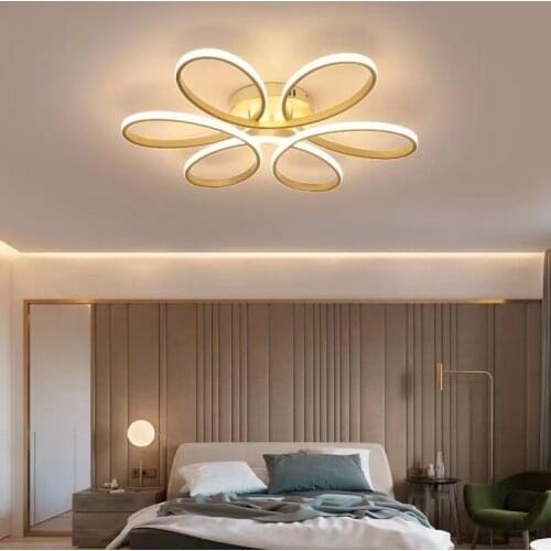 Modern acrylic nordic personality Ceiling Lights LED novelty ceiling Lamps for bedroom living room restaurant hallway office