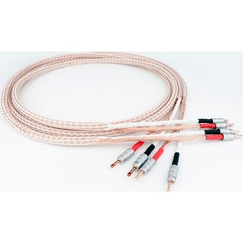 Pair 12TC OCC Hifi Speaker Cable 2 Banana Plug to 4 Banana Jack biwire speaker cable Hi-end Audio Speaker Wire