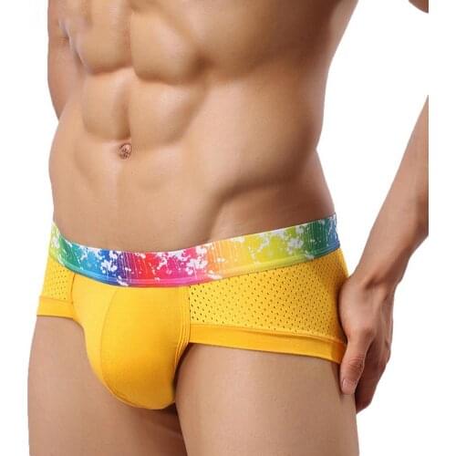Mens Sexy Breathable Brief Men Comfortable Briefs Underwear Cotton Underpants Shorts Cueca Man Underpants Male Panties