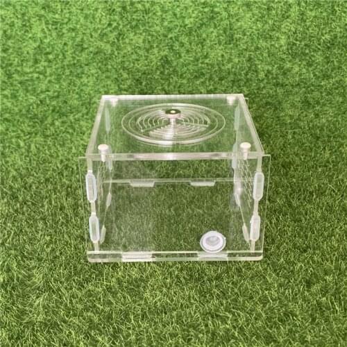 Ants Farm House Acrylic Activity Area for Small Ants 11x11x7cm