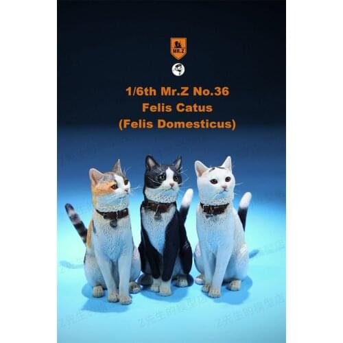 1/6 Z. Mr. Z Felis Catus pet cat model toy simulation cat decoration 12' action figure accessories scene decoration decoration