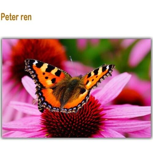 Peter ren Diamond painting cross stitch kit square drill rhinestone Diamond embroidery Butterfly on the flower crafts Needlework