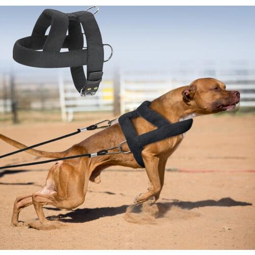 Dog Weight Pulling Harness Soft Padded Dogs Harnesses Pitbull Big Large Dogs Training Harness Pet Agility Products