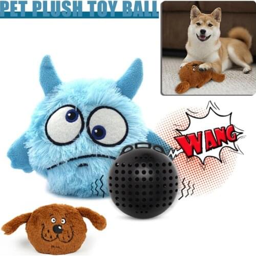 Товары для собак DKSHETOY China At AliExpress