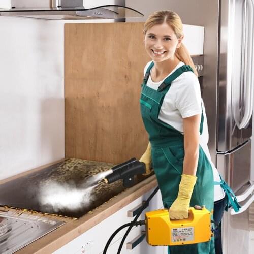 High temperature and high pressure steam cleaner household appliances disinfection air conditioning kitchen range hood oil