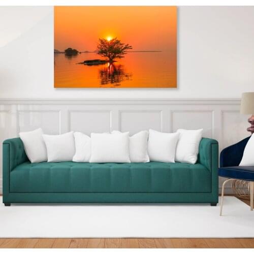 Savanna Animals Wall Paintings