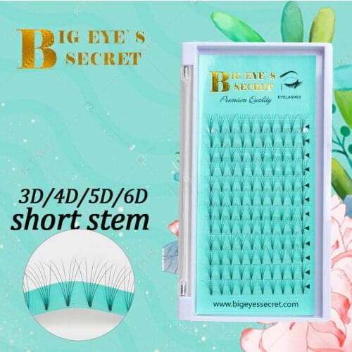 Big eyes secret Natural Lashes Premade Volume Fans Individual Eyelashes Extension Makeup tools Short stem Pre Made Fans Lashes