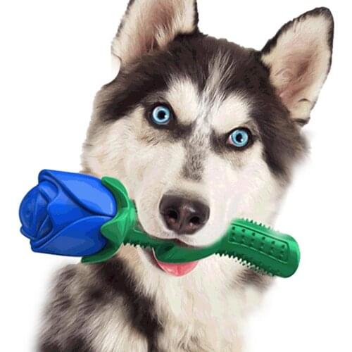 Pet Toy Teether Rose Shape Bite-resistant Chewing Rubber Interactive Vent Training Dog Supplies for Park