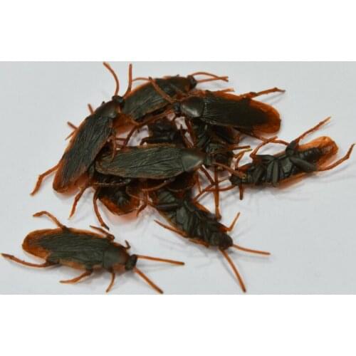 20PCS Special Lifelike Model Simulation Fake Rubber Cockroach Cock Roach Bug Roaches Baby Toy