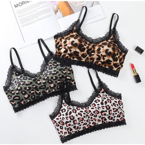Womens Leopard Print Bras Lace Underwear Push up Bra Lingerie Vest Sexy Seamless Girls Bralette Female Intimates Brassiere