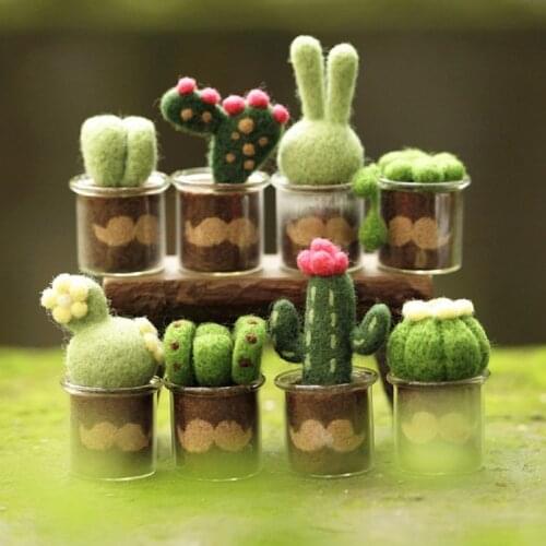 Cactus Needle Felting Kits with Glass Pots Handmade Wool for Felting Craft Kits Creativity Kit Felting Gift English Manual
